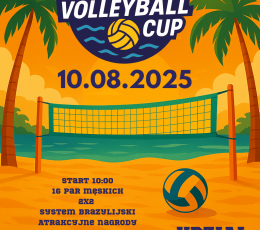Summer Playground Beach Volleyball CUP